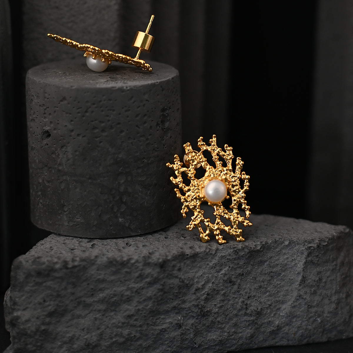 HCER028 view 2