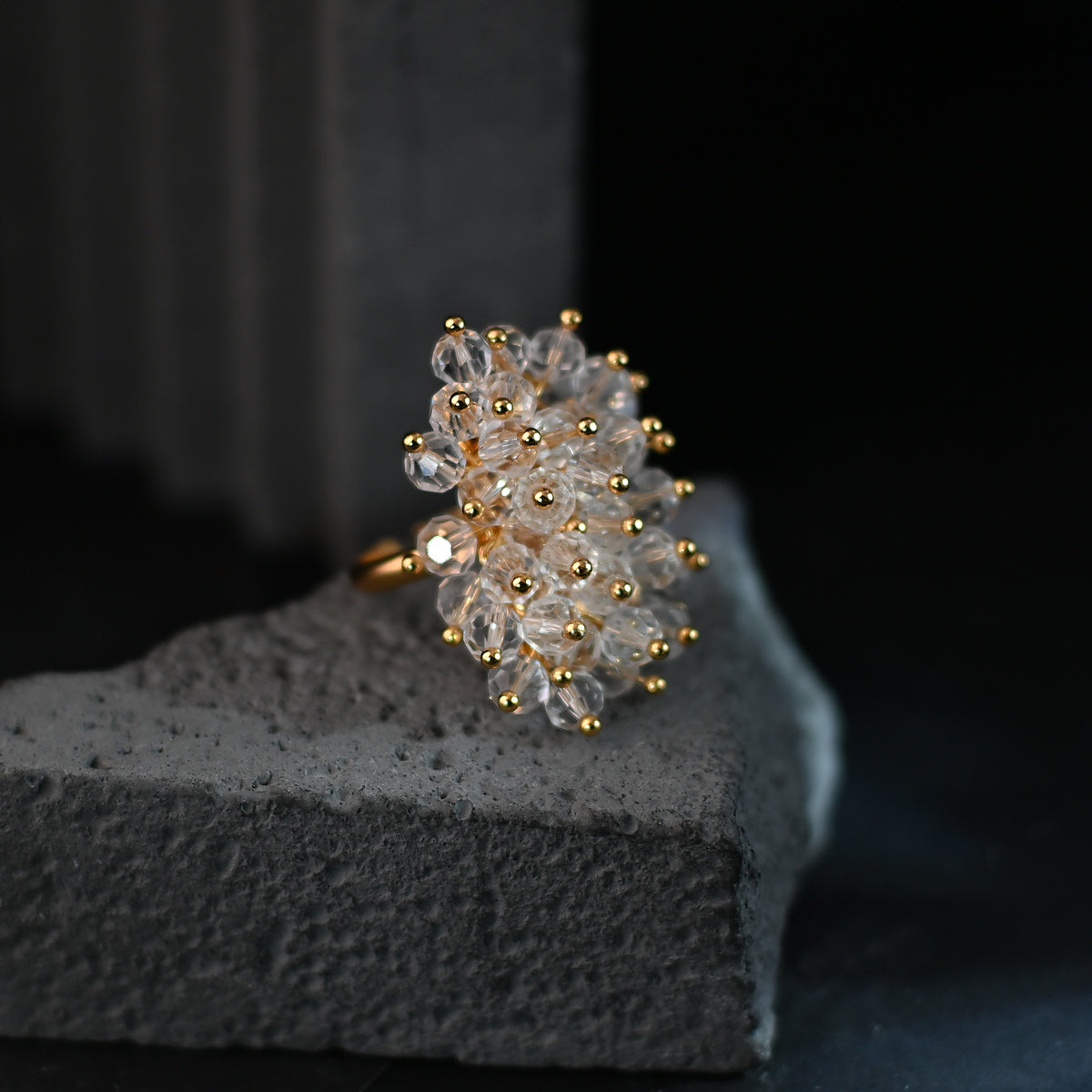 HCRI005